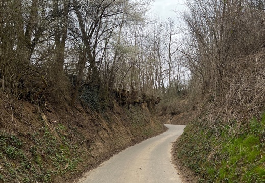 20220325073939-35c47bea